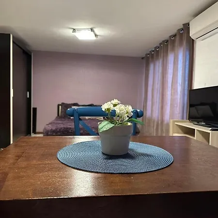 николета влас *