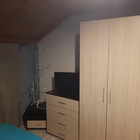 николета влас